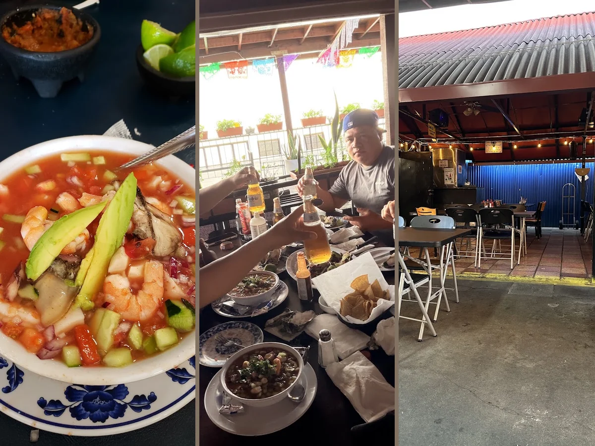 Seafood dishes served in a relaxed setting.